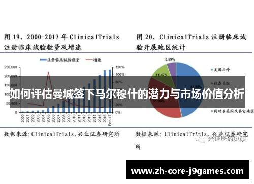 如何评估曼城签下马尔穆什的潜力与市场价值分析 如何评估曼城签下马尔穆什的潜力与市场价值分析
