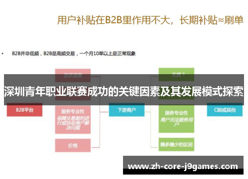 深圳青年职业联赛成功的关键因素及其发展模式探索